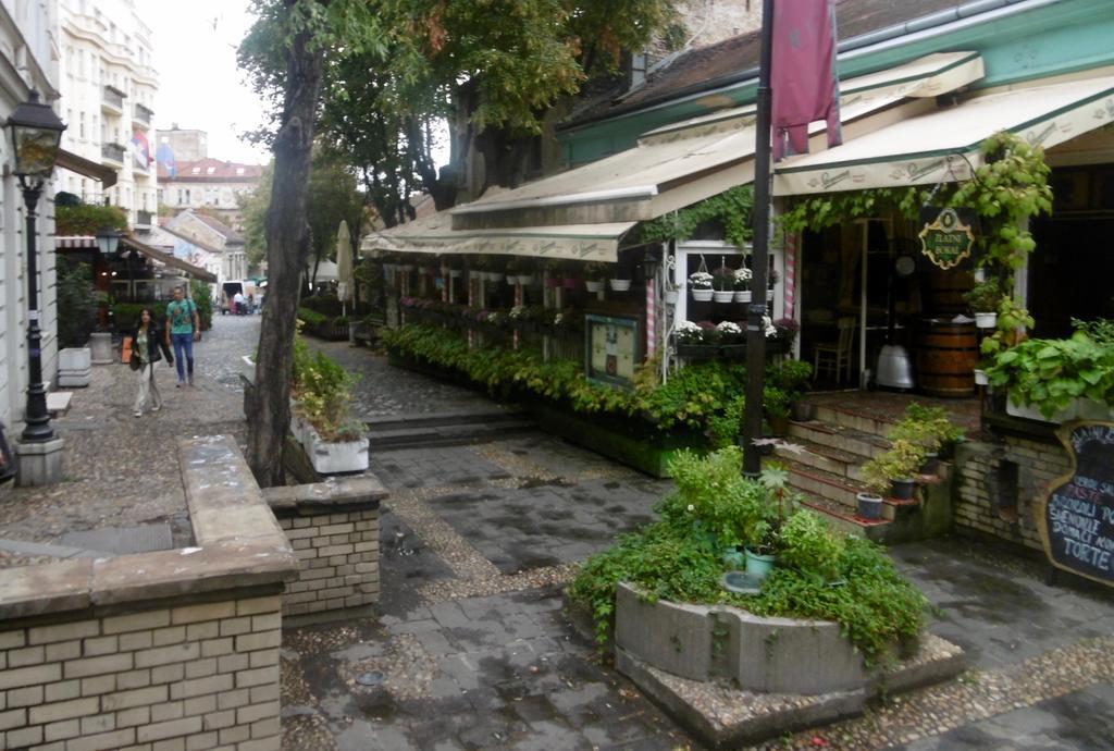 בלגרד Apartment Nedic מראה חיצוני תמונה